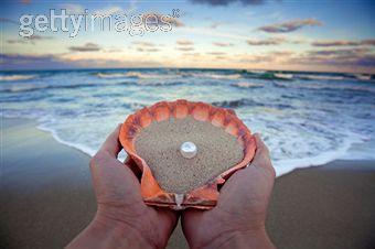 Sea shell and pearls with beach